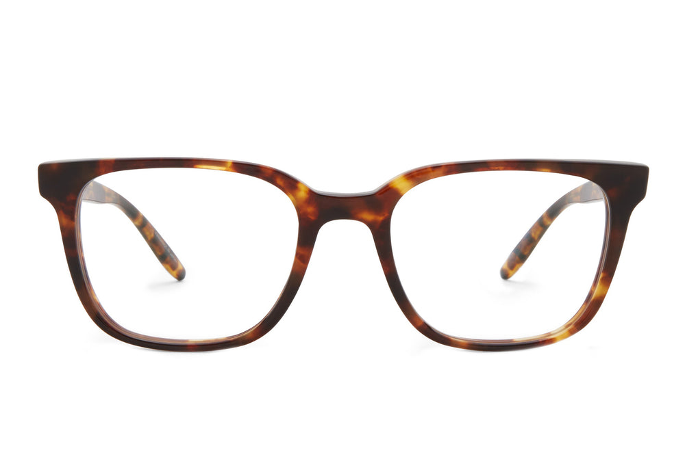 Barton Perreira JOE sunglasses with chestnut-colored frames and clear lenses, front view showing stylish design.