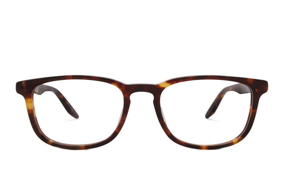 Barton Perreira Thompson chestnut sunglasses with rounded frames and dark lenses, front view image.