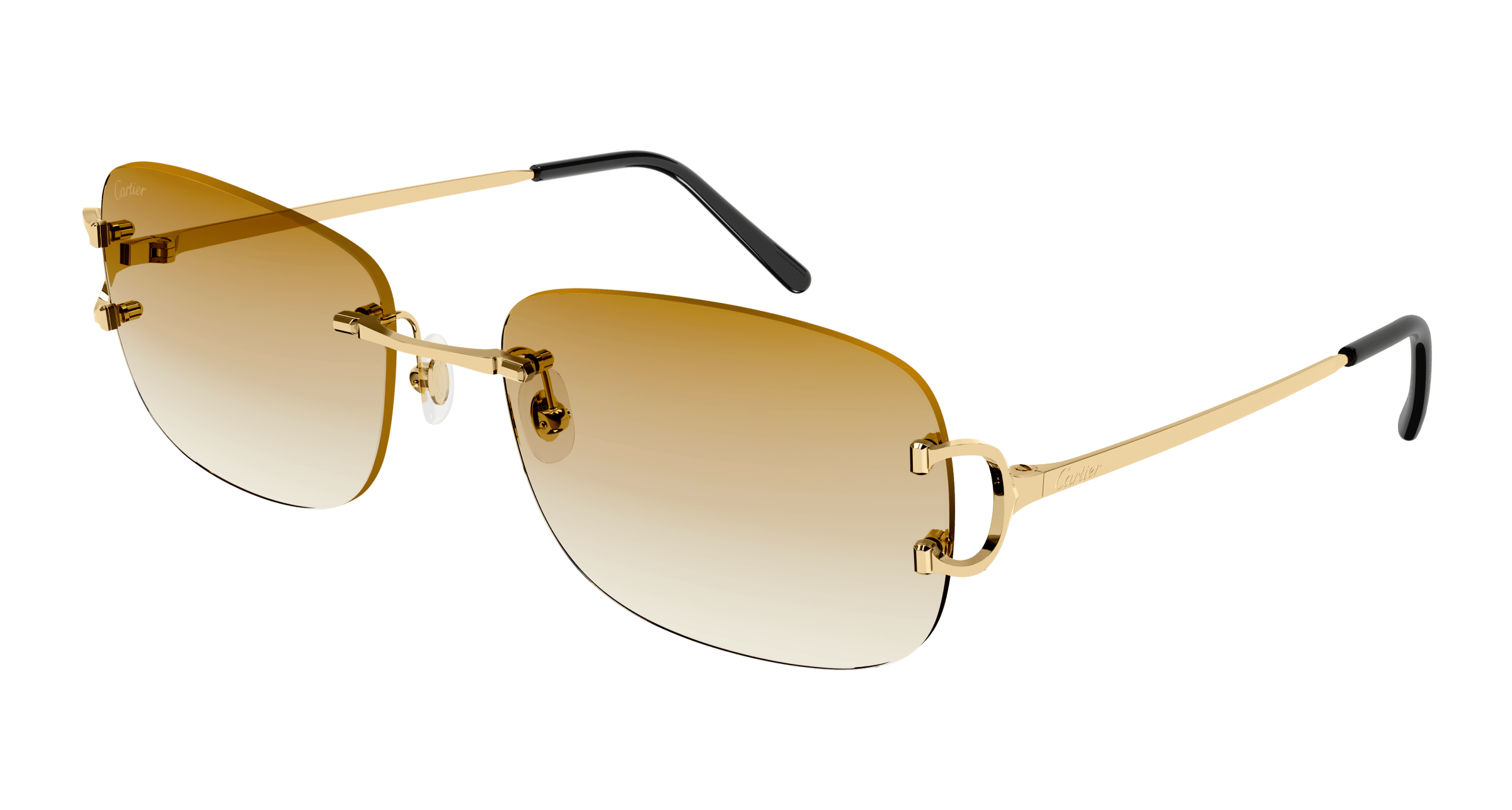 CT0011RS