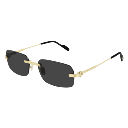 CT0271S