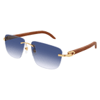 CT0040RS