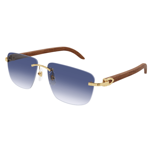 CT0040RS