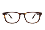 Barton Perreira Thompson sunglasses with chestnut-colored rounded frames and clear lenses, front view.