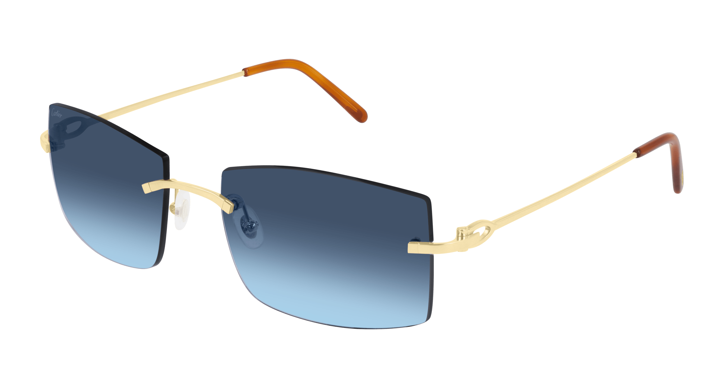 CT0005RS